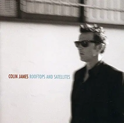 Rooftops and Satellites 2009