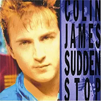 Sudden Stop 1990